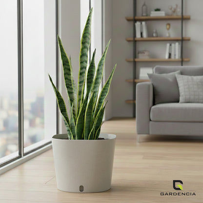Gardencia Cube 6/12" Self Watering Square Pot