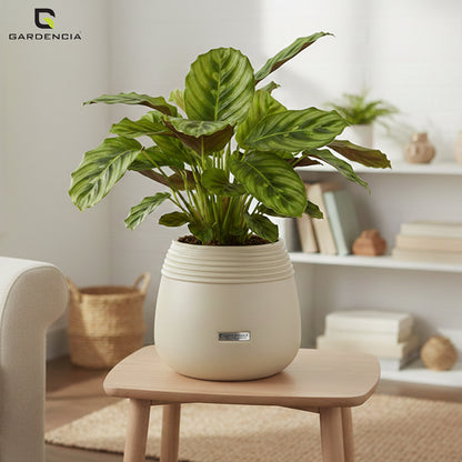 GARDENCIA Balloon Self Watering Planter