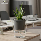 GARDENCIA Clear Self Watering Pot 6 Inch – Transparent Plastic Planter for Indoor Plants, Succulents, Herbs & Flowers – Durable Pot with Water Reservoir & Drainage Hole