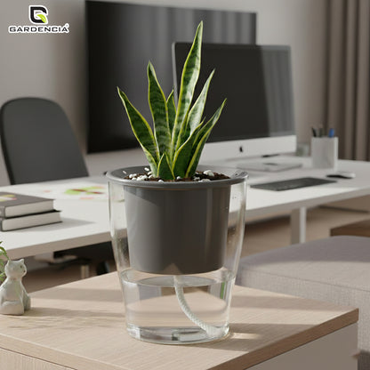 GARDENCIA Clear Self Watering Pot 6 Inch – Transparent Plastic Planter for Indoor Plants, Succulents, Herbs & Flowers – Durable Pot with Water Reservoir & Drainage Hole