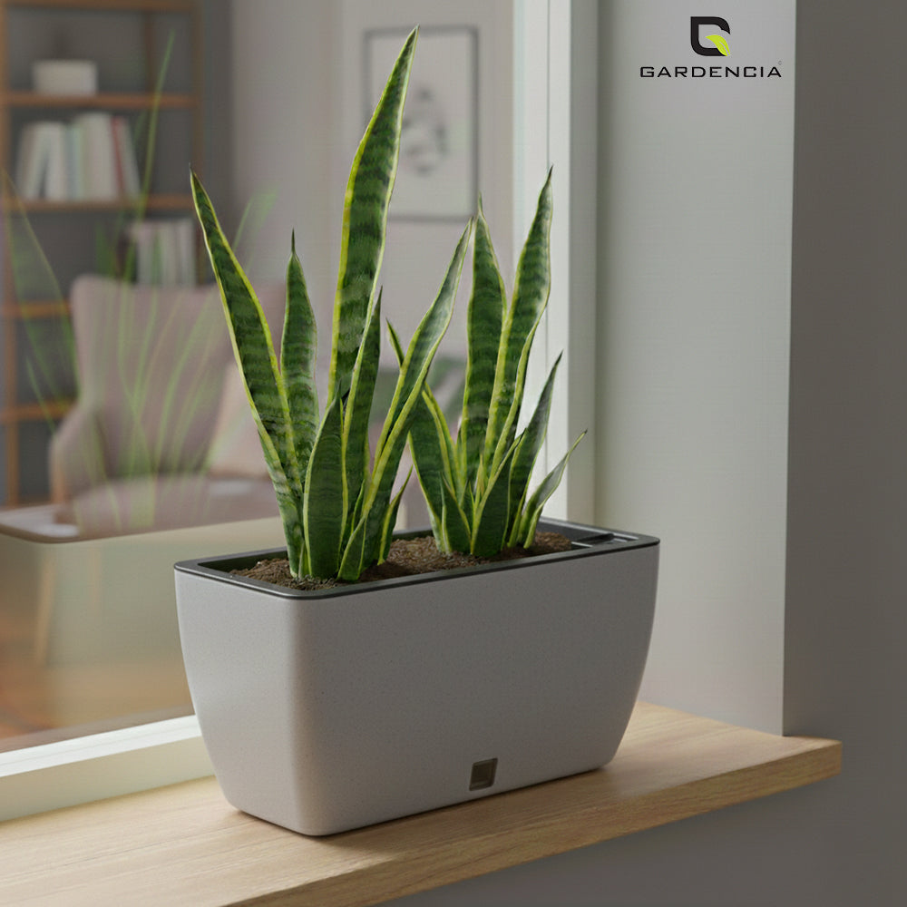 GARDENCIA Recta Self Watering Rectangle 100% Virgin Plastic Pots for Plants | Modern Design | Indoor and Outdoor Flower Pot for Home/Office/Table/Garden/Balcony Decoration | 14 inch