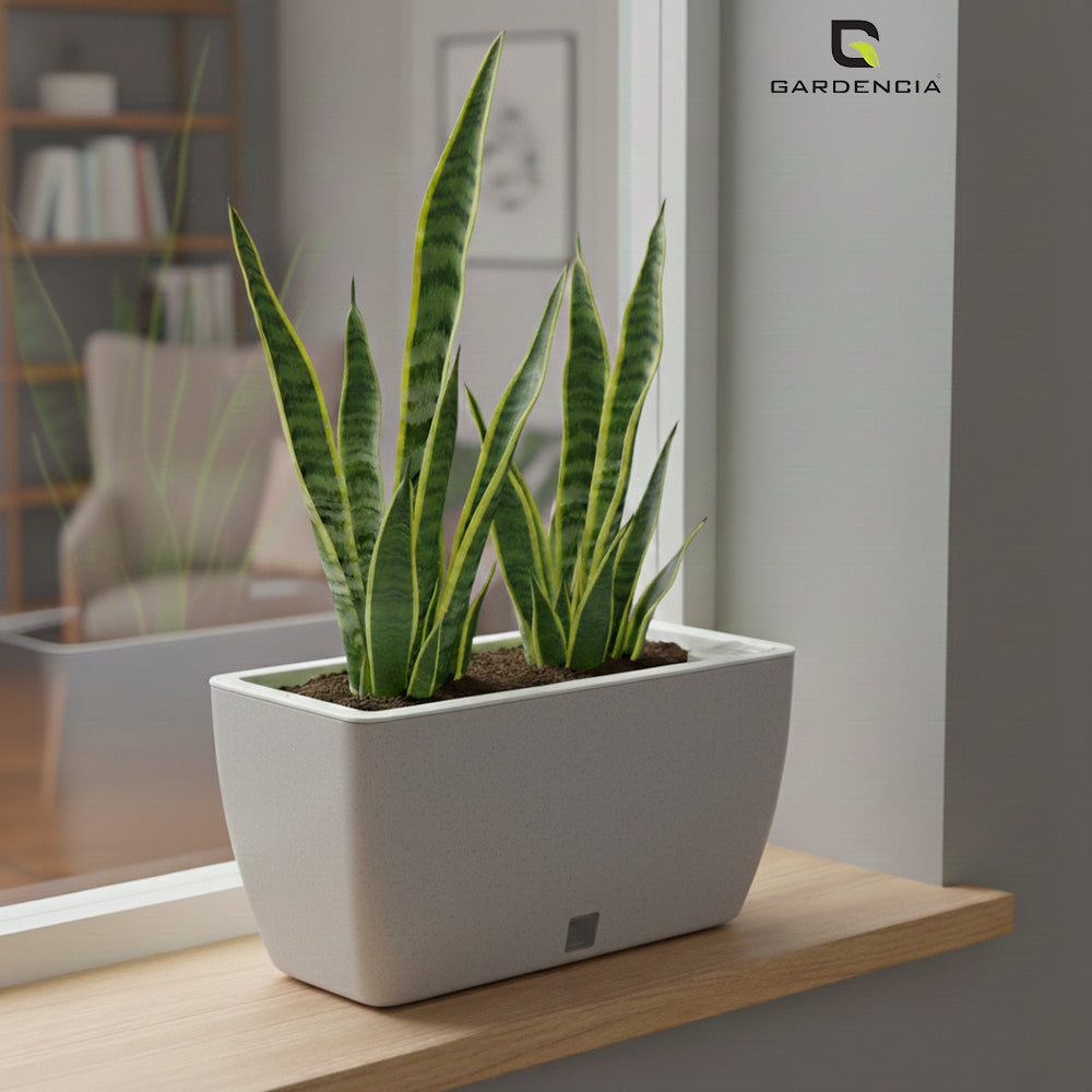 GARDENCIA Recta Self Watering Rectangle 100% Virgin Plastic Pots for Plants | Modern Design | Indoor and Outdoor Flower Pot for Home/Office/Table/Garden/Balcony Decoration | 14 inch