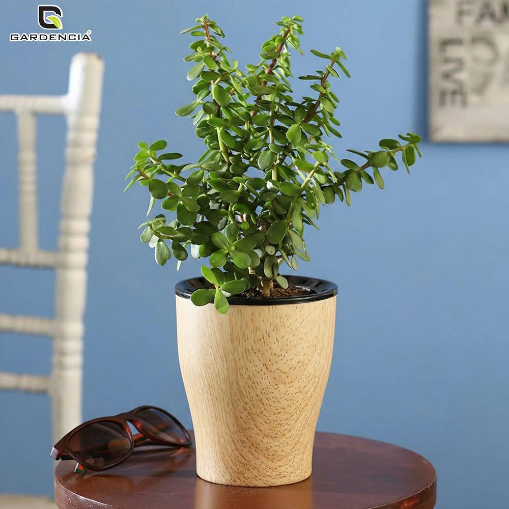 Cone Printed Self Watering Pot
