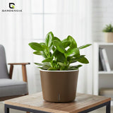 Gardencia Cube 6/12" Self Watering Square Pot