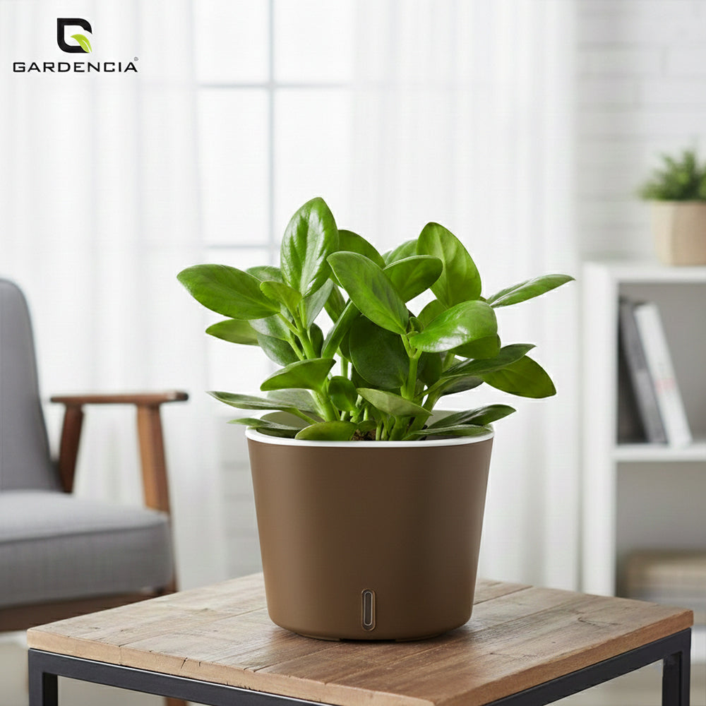 Gardencia Cube 6/12" Self Watering Square Pot