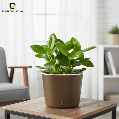 Gardencia Cube 6/12" Self Watering Square Pot