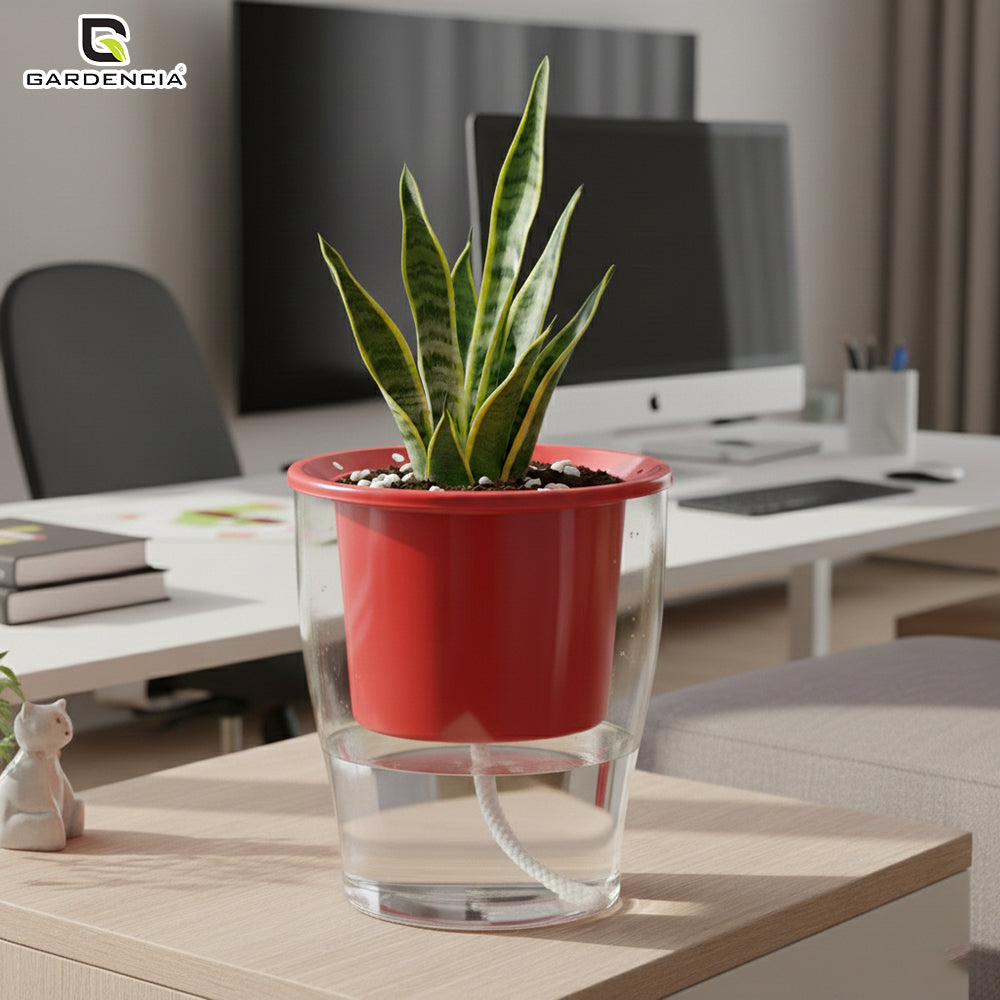 GARDENCIA Clear Self Watering Pot 6 Inch – Transparent Plastic Planter for Indoor Plants, Succulents, Herbs & Flowers – Durable Pot with Water Reservoir & Drainage Hole