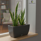 GARDENCIA Recta Self Watering Rectangle 100% Virgin Plastic Pots for Plants | Modern Design | Indoor and Outdoor Flower Pot for Home/Office/Table/Garden/Balcony Decoration | 14 inch