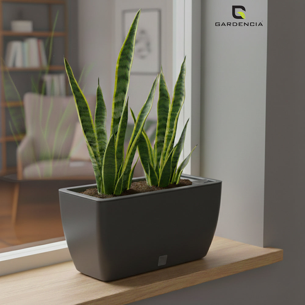 GARDENCIA Recta Self Watering Rectangle 100% Virgin Plastic Pots for Plants | Modern Design | Indoor and Outdoor Flower Pot for Home/Office/Table/Garden/Balcony Decoration | 14 inch