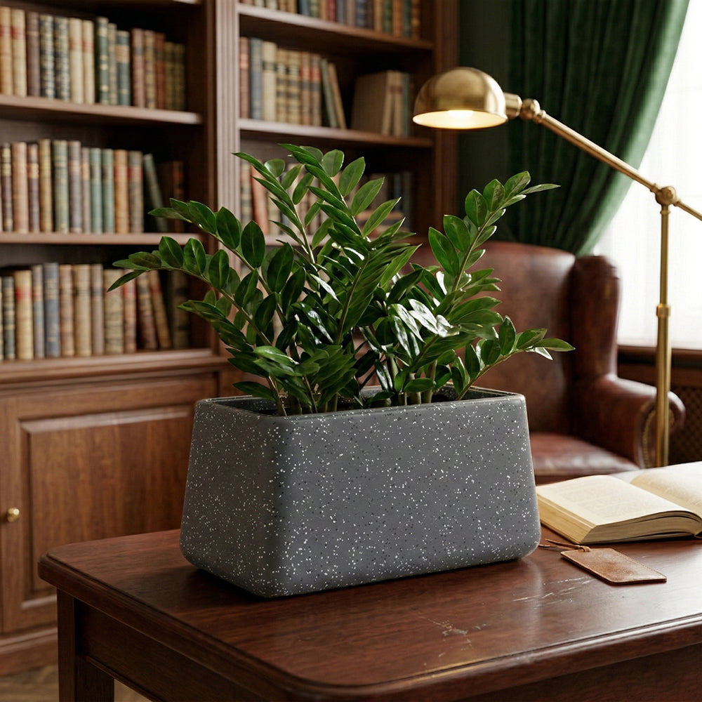 GARDENCIA Roto Tiny 06 Self Watering Rectangular Pot 11"