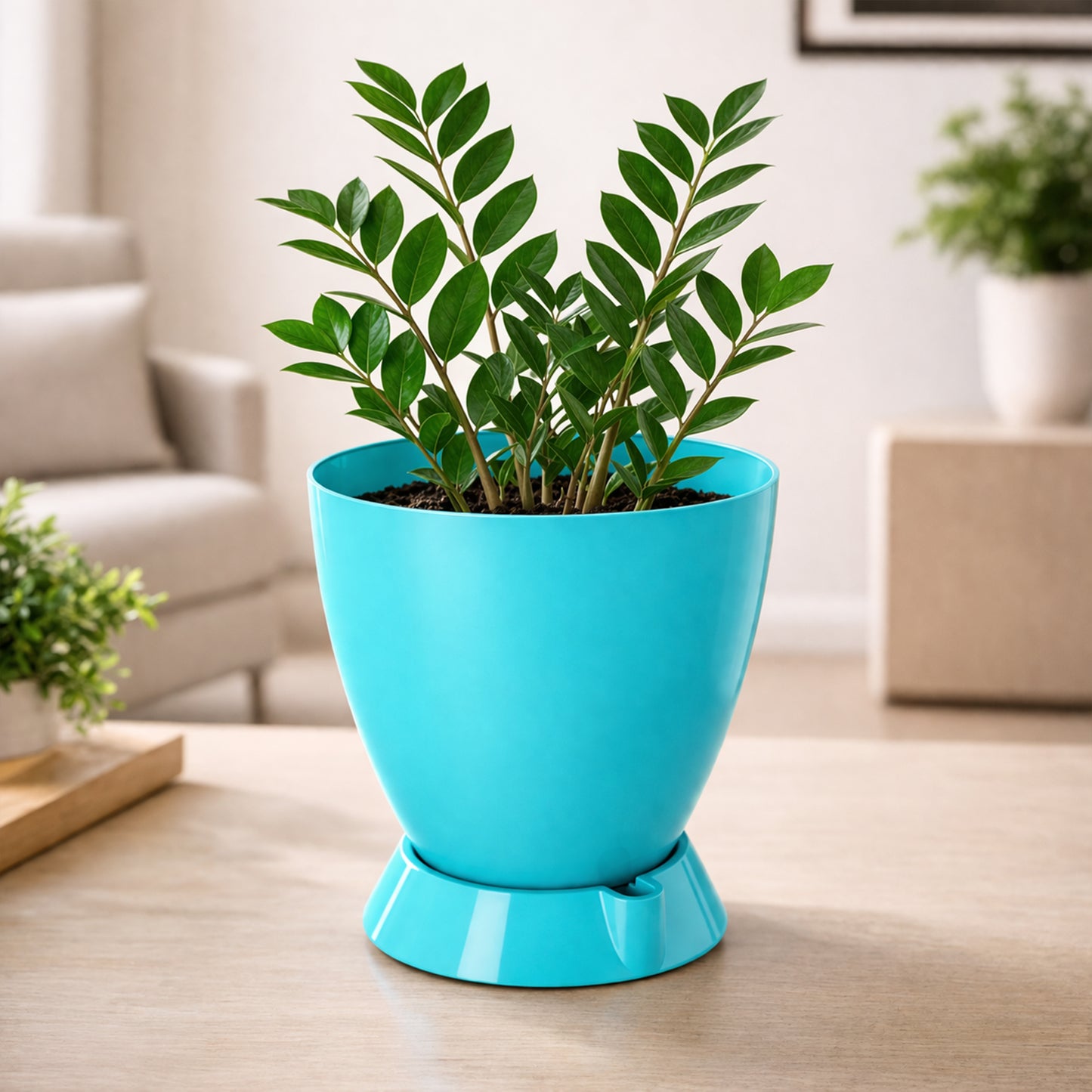 Convex Pot with Smart Tray