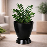 Convex Pot with Smart Tray