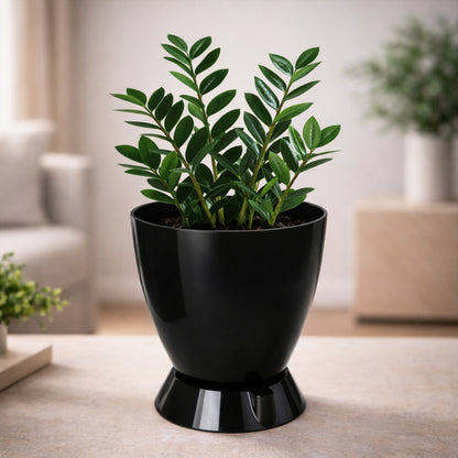Convex Pot with Smart Tray