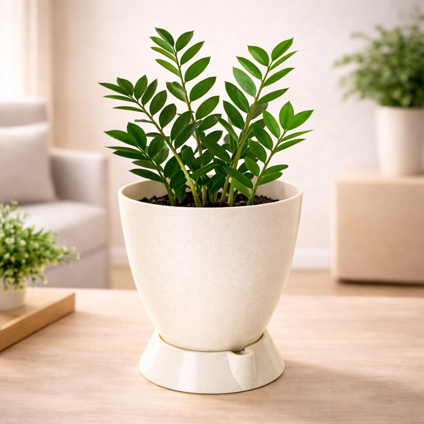 Convex Pot with Smart Tray