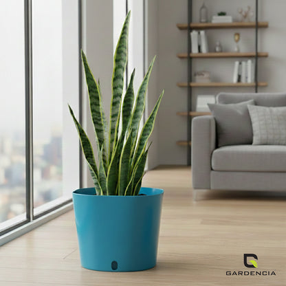 Gardencia Cube 6/12" Self Watering Square Pot