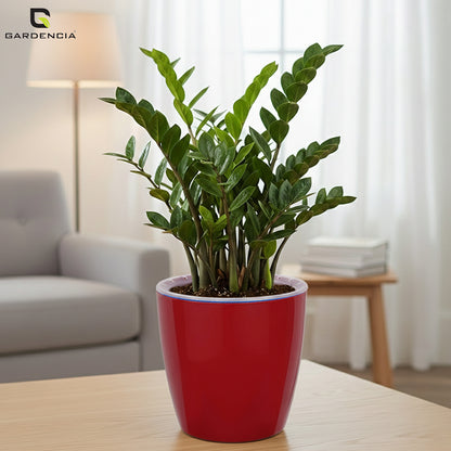 Vistara Self Watering Pot