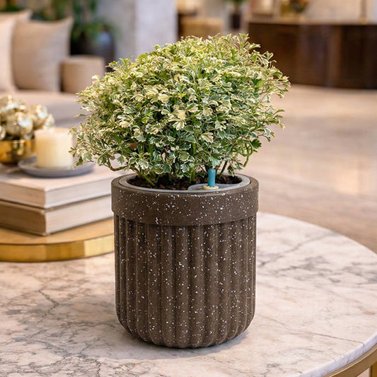 Roto Tiny 04 Self Watering Pot