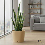 Gardencia Cube 6/12" Self Watering Square Pot