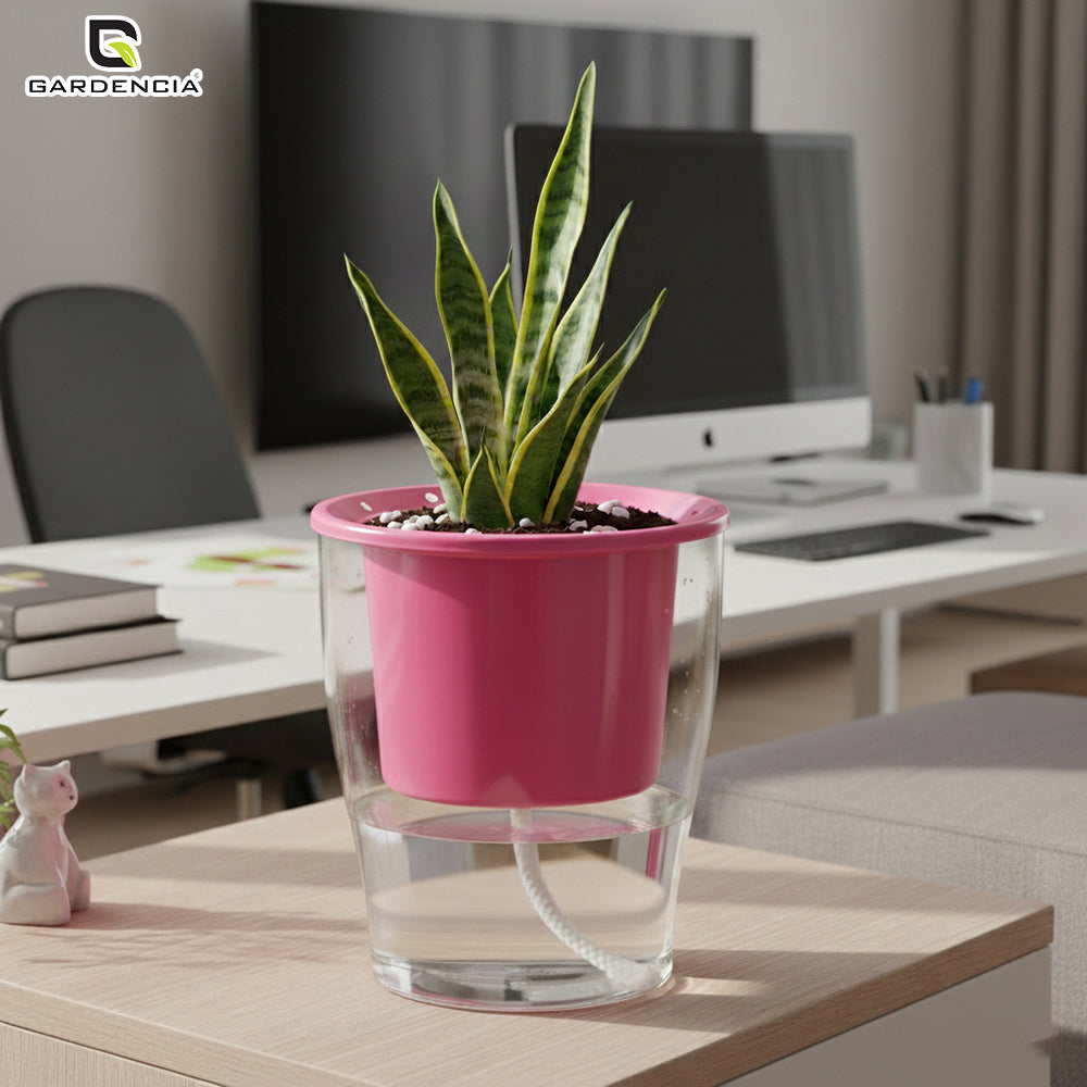 GARDENCIA Clear Self Watering Pot 6 Inch – Transparent Plastic Planter for Indoor Plants, Succulents, Herbs & Flowers – Durable Pot with Water Reservoir & Drainage Hole