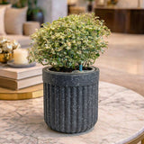 GARDENCIA Roto Tiny 04 Round Self Watering Planter Pot 6"