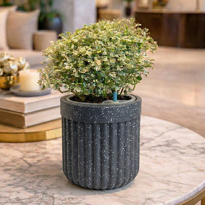 GARDENCIA Roto Tiny 04 Round Self Watering Planter Pot 6"