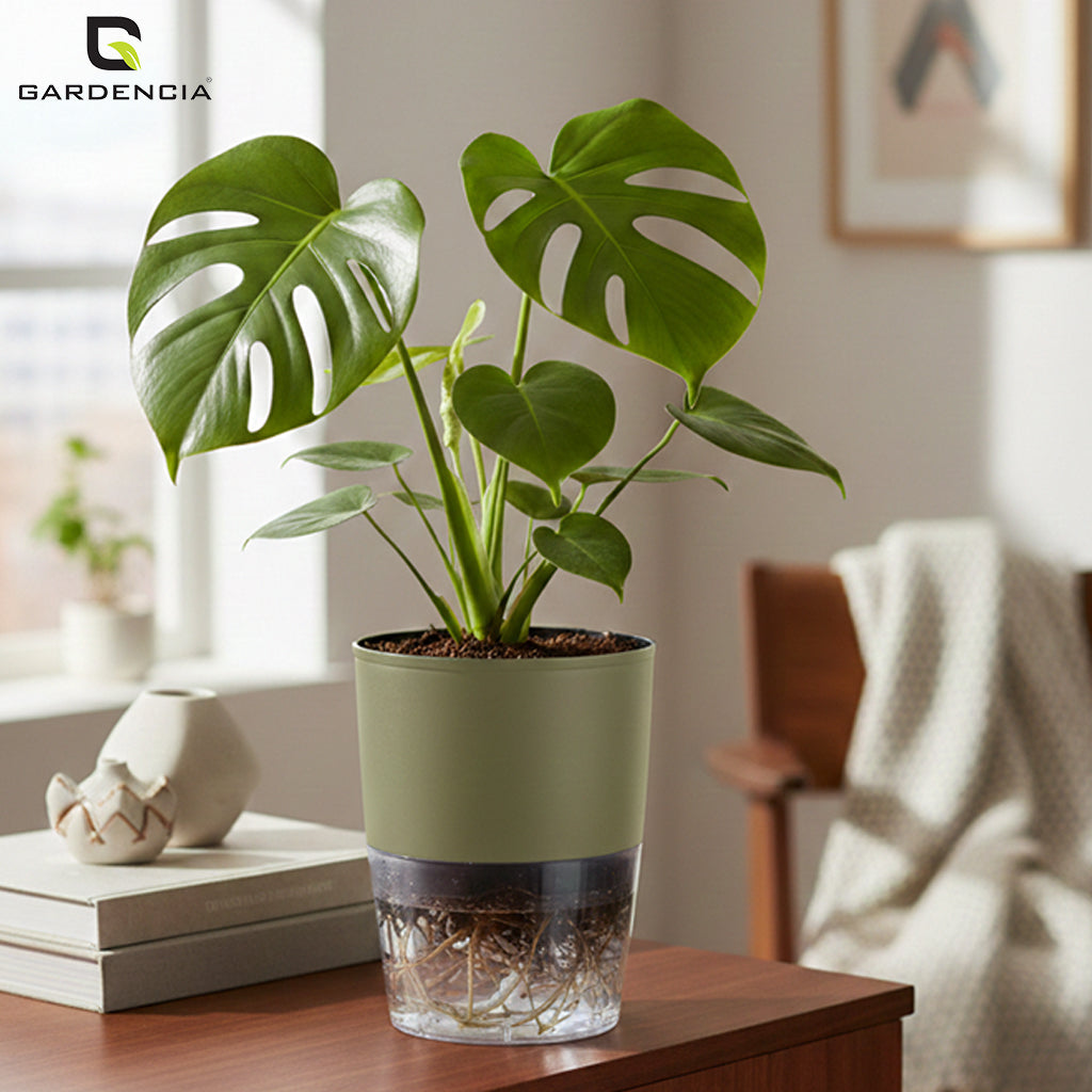Gardencia Lobello 4/6/8 Inch Self Watering Plastic Flower Pot Cotton Rope Watering Small Plant Pot - Indoor Planters for Home Decor, Living Room, Kitchen, Bedroom, Office Desk, Gifting - Plants Not Included