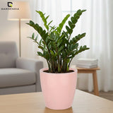 Vistara Self Watering Pot