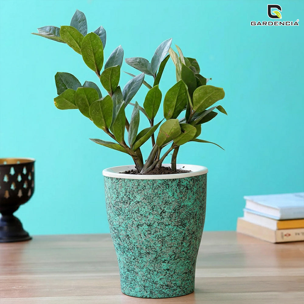 Cone Painted Self Watering Pot