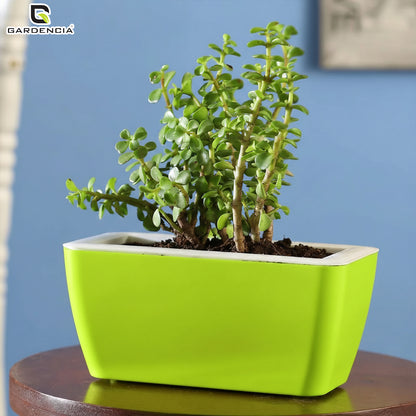 GARDENCIA Recta Self Watering Rectangle 100% Virgin Plastic Pots for Plants | Modern Design | Indoor and Outdoor Flower Pot for Home/Office/Table/Garden/Balcony Decoration | 14 inch