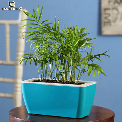 GARDENCIA Recta Self Watering Rectangle 100% Virgin Plastic Pots for Plants | Modern Design | Indoor and Outdoor Flower Pot for Home/Office/Table/Garden/Balcony Decoration | 14 inch