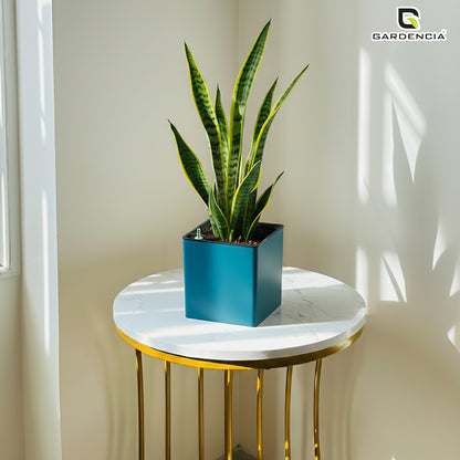 Gardencia Columbus Self Watering Square Pot with Water Level Indicator Modern Planters with Automatic Watering System, Best Flower Pots for Home Decore, Living Room, Table Top Available In Multi Colours