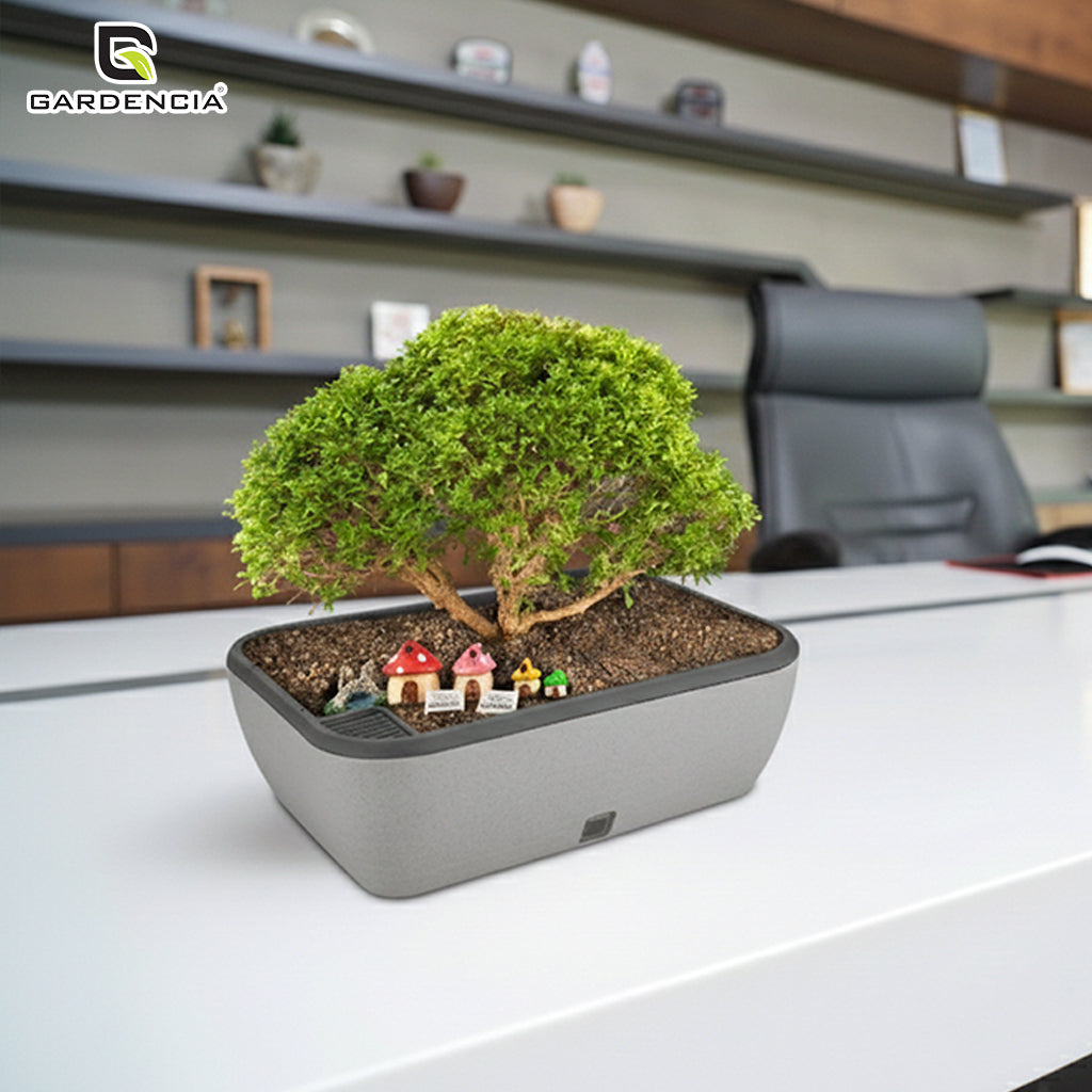 GARDENCIA Contessa Self Watering Planter | 15 x 11 x 4.5 Inch | Polypropylene with UV Protection | Matt Finish Indoor Outdoor Rectangular Pot for Plants
