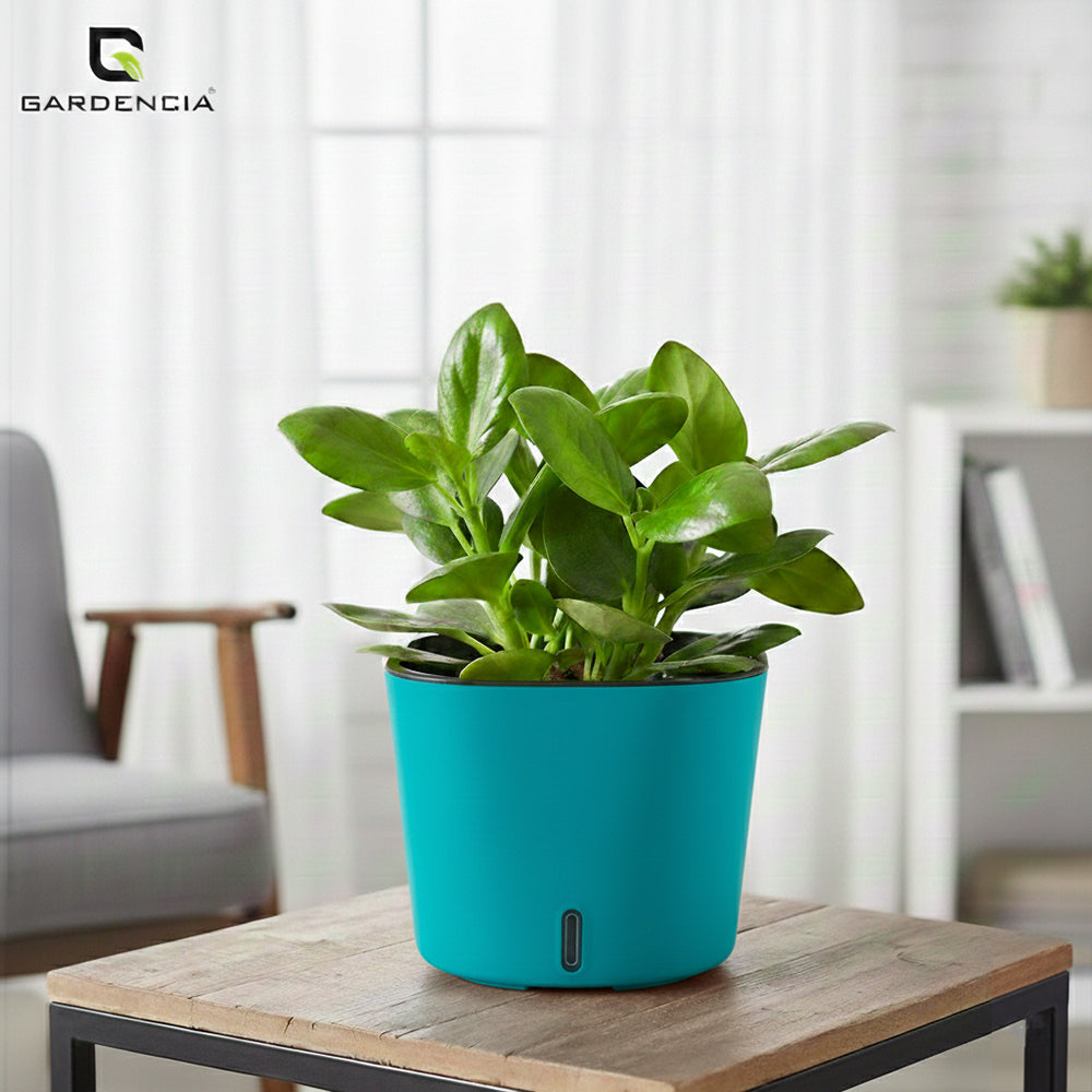 Gardencia Cube 6/12" Self Watering Square Pot