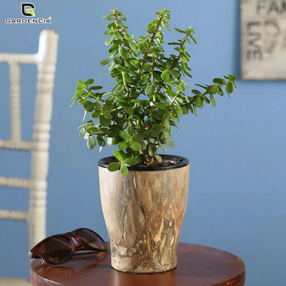 Cone Printed Self Watering Pot