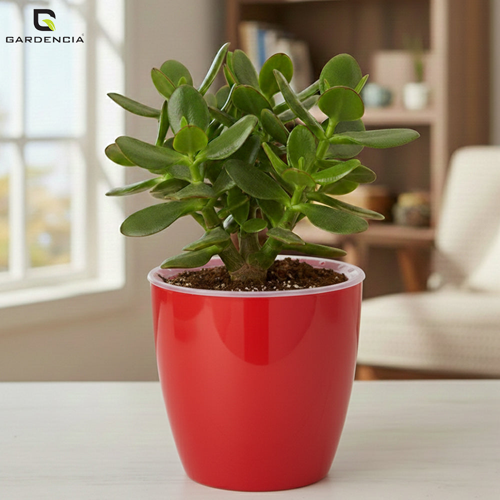 Vistara Self Watering Pot