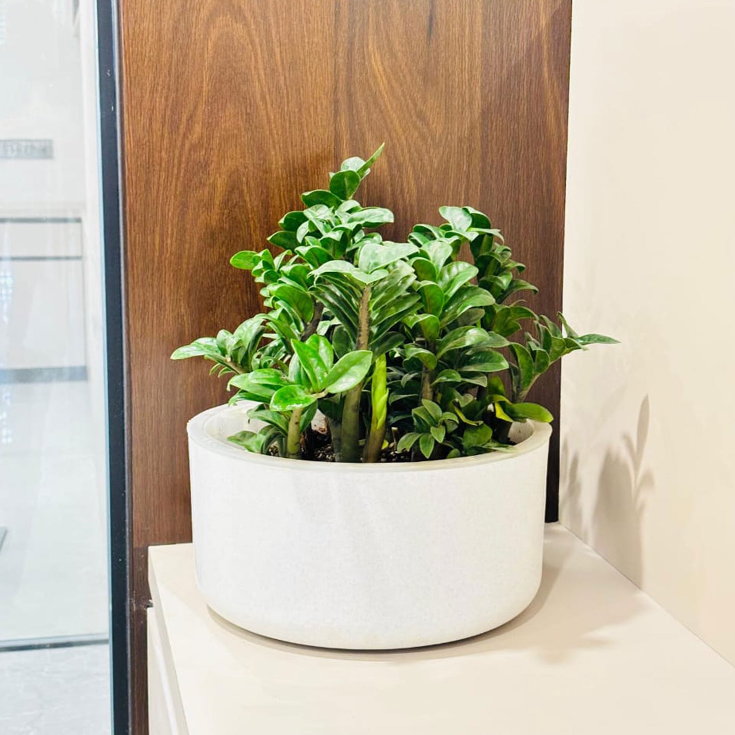 Gardencia Sigma Self Watering  Modern Flower Pot for Indoor Plants, Round Plant Pots, Succulent Pot, Planters for Home Decoration/Home Balcony Flower Pot, Table Top Pot, for Office Decoration, Restaurant, Cafe