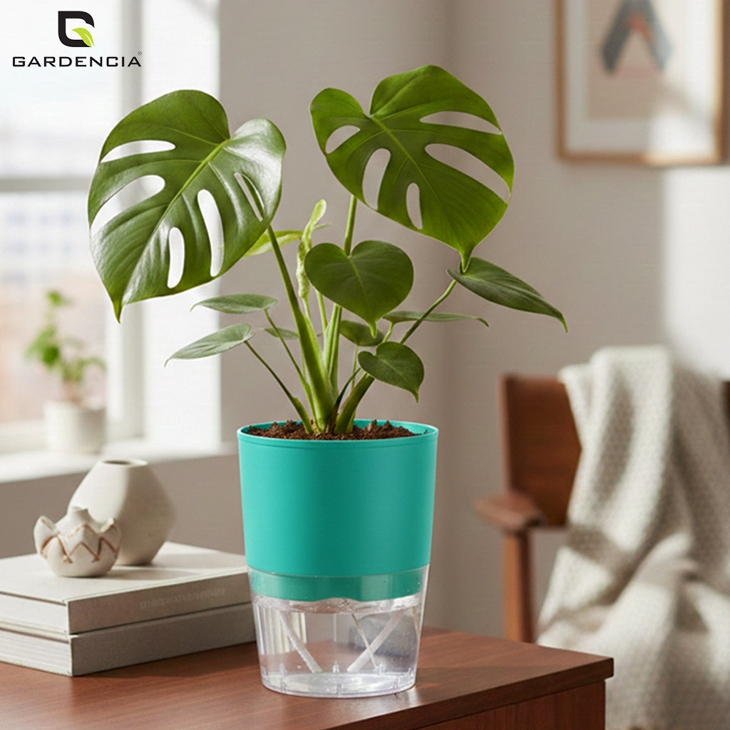 Gardencia Lobello 4/6/8 Inch Self Watering Plastic Flower Pot Cotton Rope Watering Small Plant Pot - Indoor Planters for Home Decor, Living Room, Kitchen, Bedroom, Office Desk, Gifting - Plants Not Included