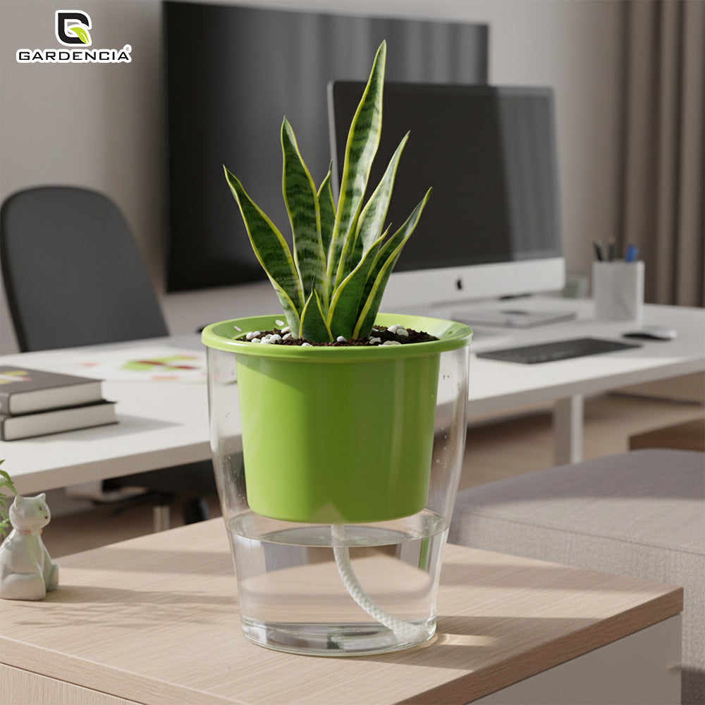 GARDENCIA Clear Self Watering Pot 6 Inch – Transparent Plastic Planter for Indoor Plants, Succulents, Herbs & Flowers – Durable Pot with Water Reservoir & Drainage Hole