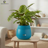 GARDENCIA Balloon Self Watering Planter