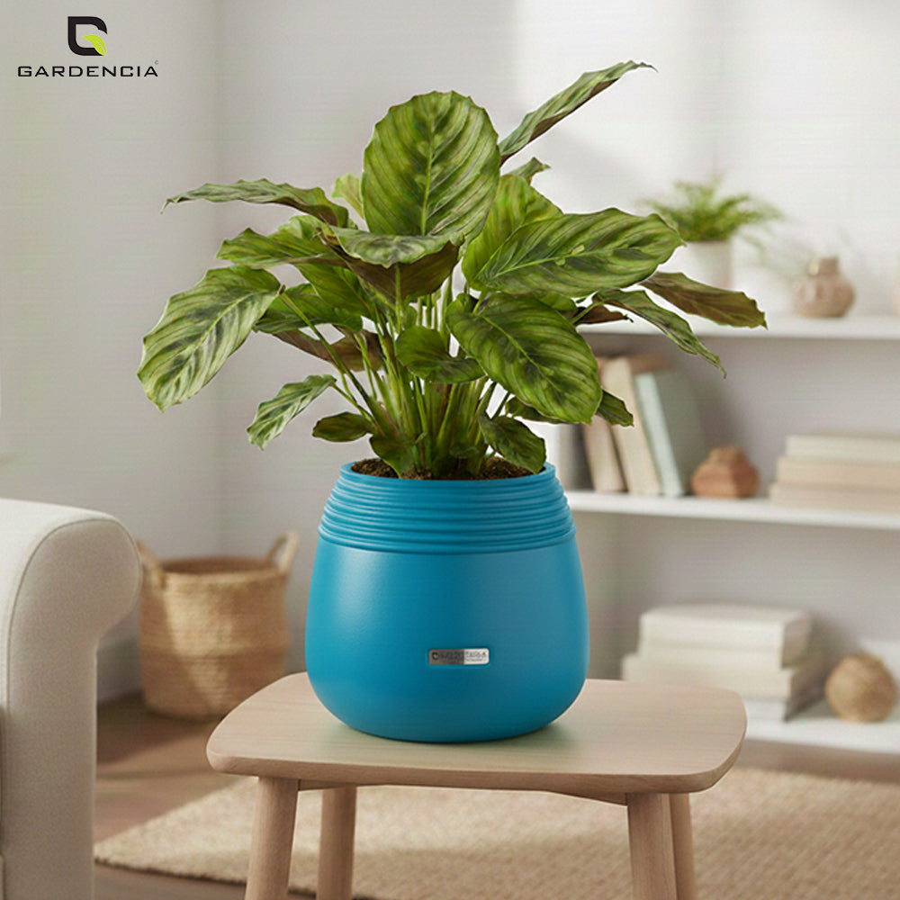 GARDENCIA Balloon Self Watering Planter