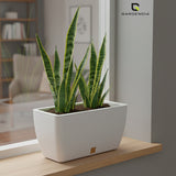 GARDENCIA Recta Self Watering Rectangle 100% Virgin Plastic Pots for Plants | Modern Design | Indoor and Outdoor Flower Pot for Home/Office/Table/Garden/Balcony Decoration | 14 inch