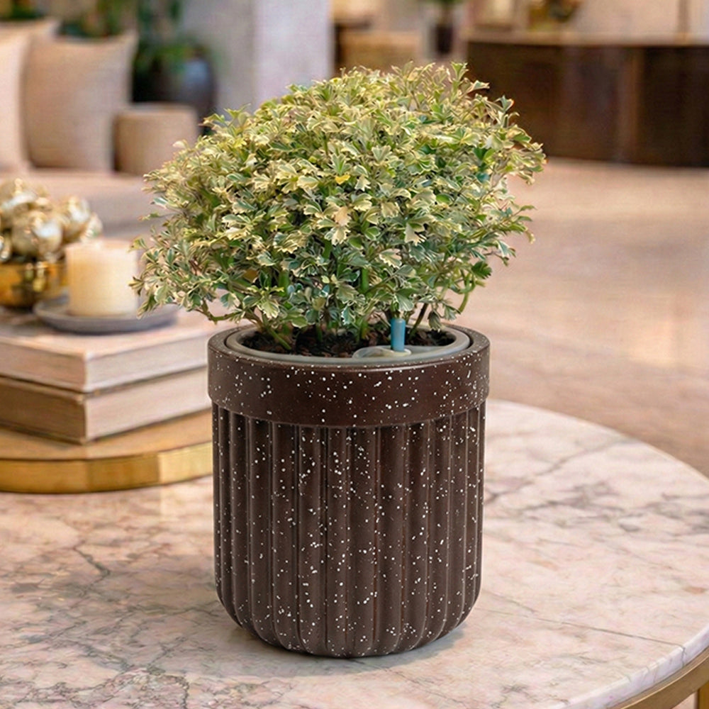 dot self watering planter Roto Tiny 04 Self-Watering Round Pot 6"