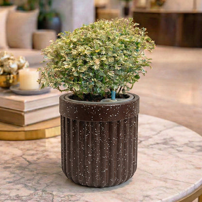GARDENCIA Roto Tiny 04 Round Self Watering Planter Pot 6"