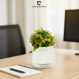 GARDENCIA Conic Self Watering Pot for Indoor & Outdoor Plants | Glossy Polypropylene with UV Protection | Modern Planter for Home, Balcony, Office & Garden Dcor