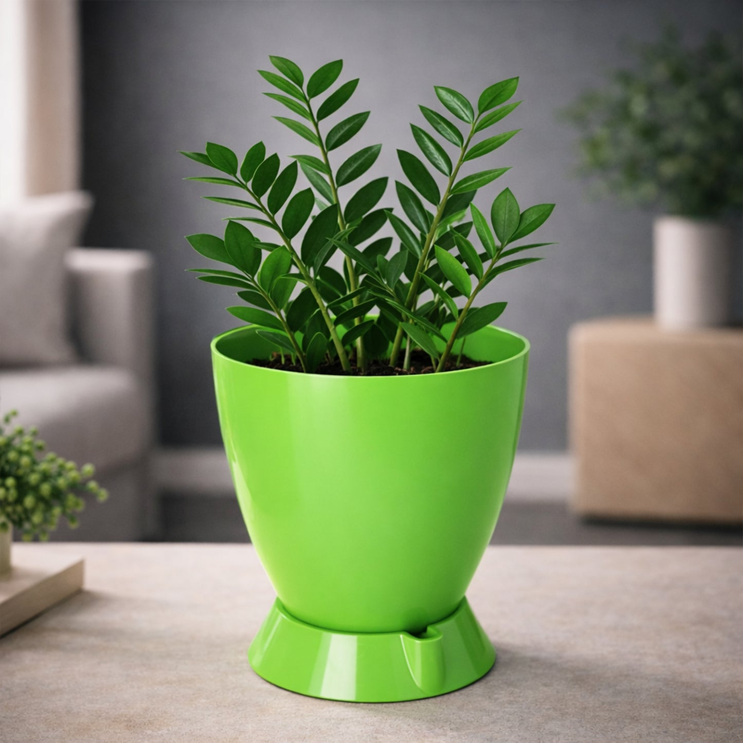 Convex Pot with Smart Tray