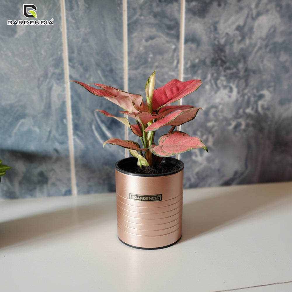 GARDENCIA Metal Flower Pot 4"