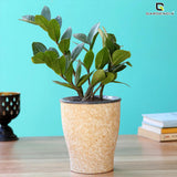 Cone Painted Self Watering Pot