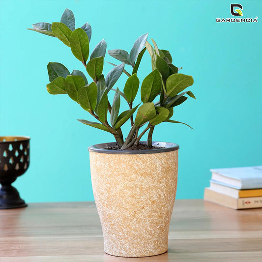 GARDENCIA Cone 6" Self Watering Painted Planter Pot Decorative Indoor/Outdoor Plant Container for Home, Office & Garden