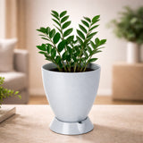 Convex Pot with Smart Tray
