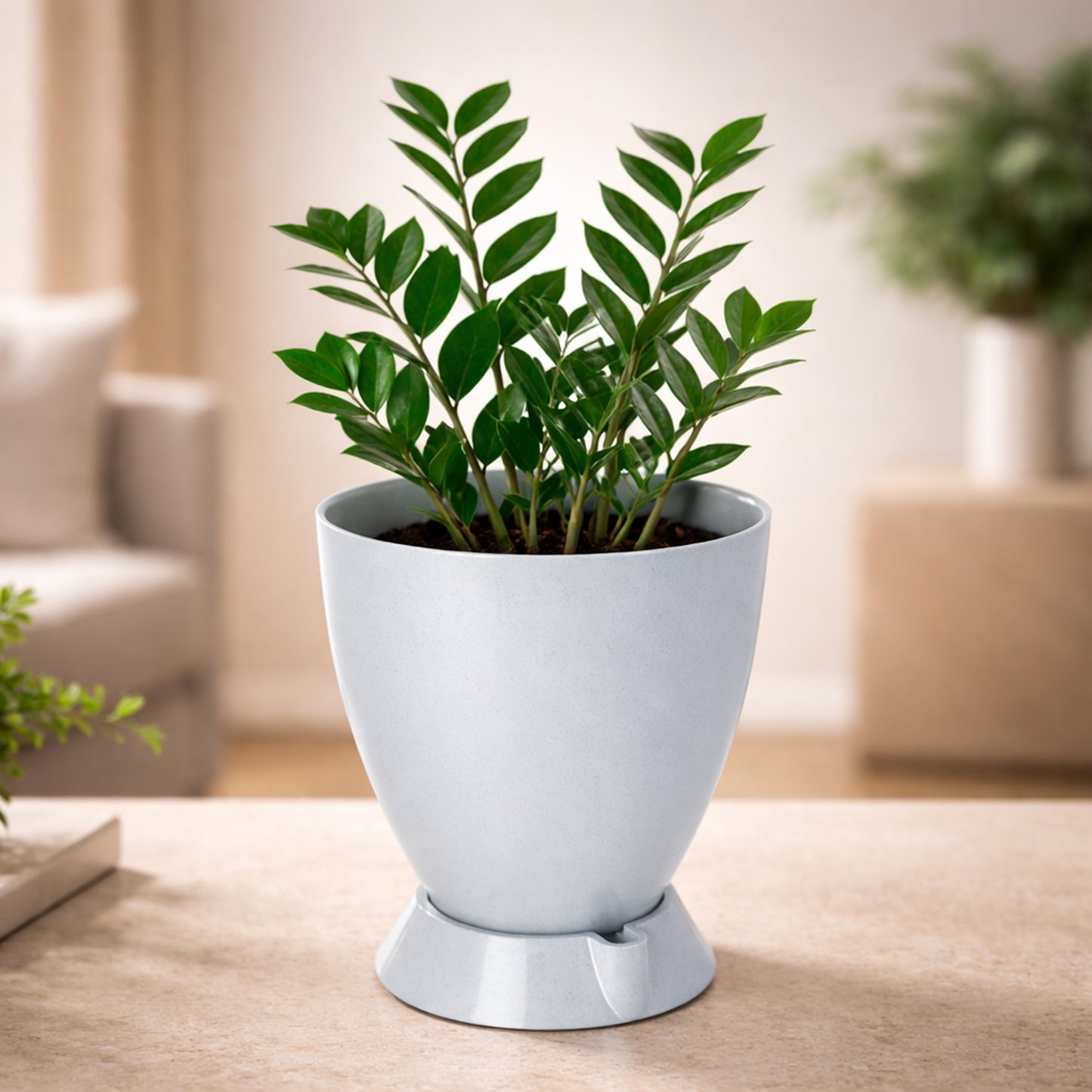 Convex Pot with Smart Tray
